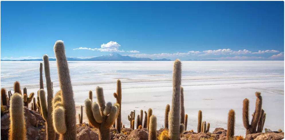 Best Travel Time and Climate for Bolivia
